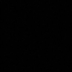 Meet your Posher, Cody